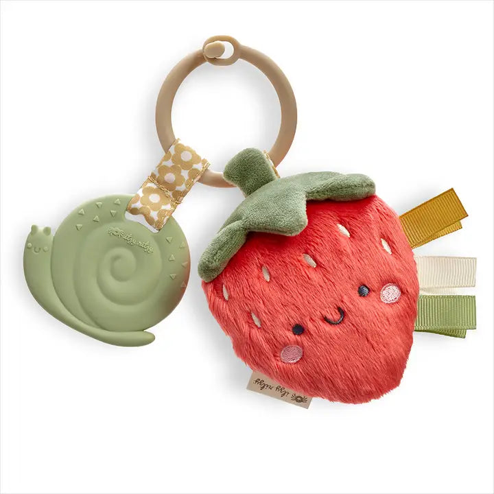 Itzy Ritzy: Itzy Pal Plush + Teether