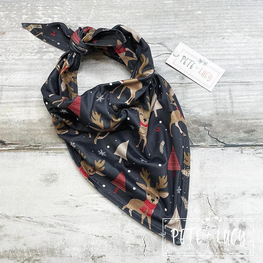 Holiday Loungewear: Dog Bandana