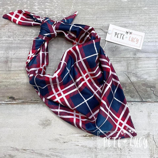 Winter Family: Dog Bandana