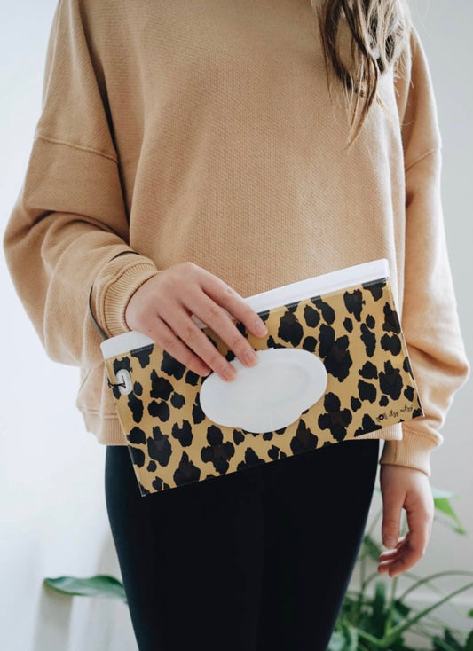 Itzy Ritzy: Take and Travel Reusable Wipes Pouch